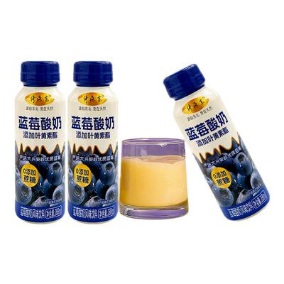 蓝莓酸奶0添加蔗糖0脂肪整箱24瓶叶黄素酯早餐代餐乳酸菌风味饮料