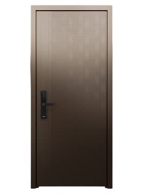 家用防盗门指纹锁智能农村自建房