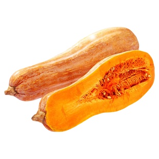 精选蜜本南瓜种子传统秘本密本南瓜蔬菜种孑蔬菜春播正品四季大南