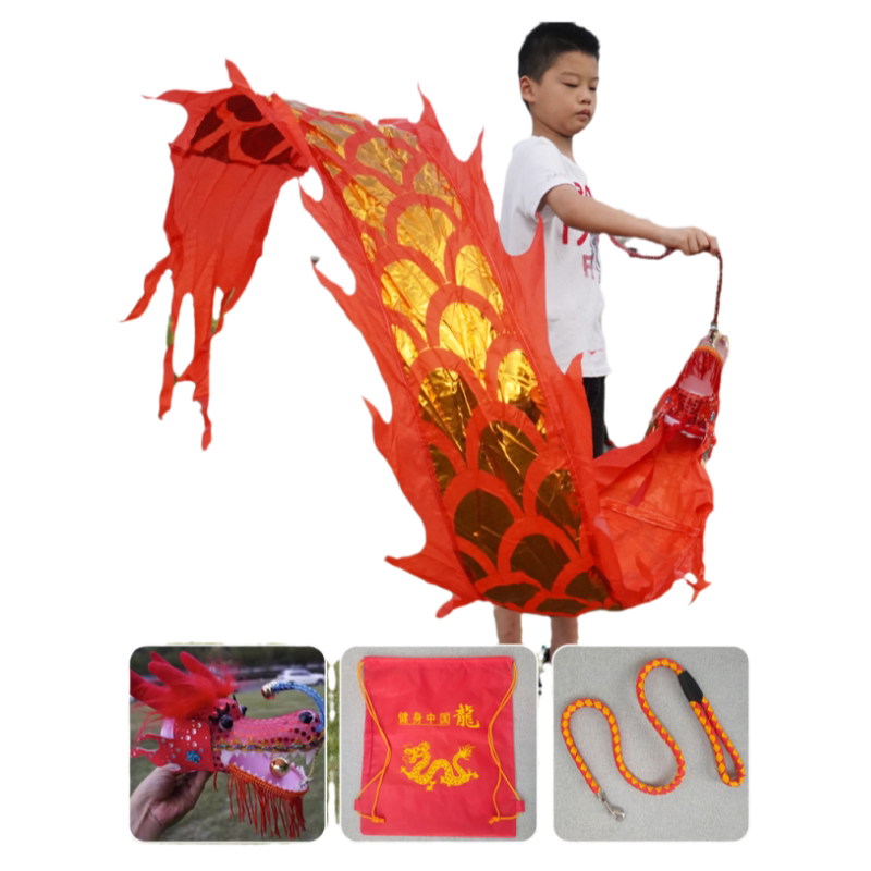 舞龙彩带健身新款儿童手甩龙飘带广场舞甩甩龙中国龙龙头表演道具