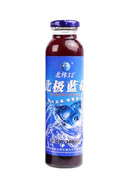 北纬52北极蓝莓漠河野生蓝莓汁花青素大兴安岭300ml*10瓶果汁礼盒