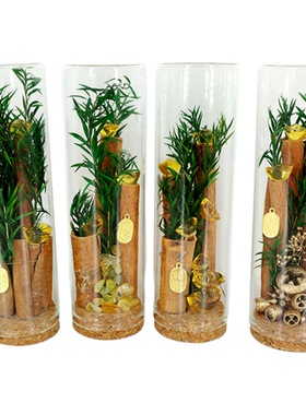 DIY肉桂生财许愿瓶暴改工位摆件