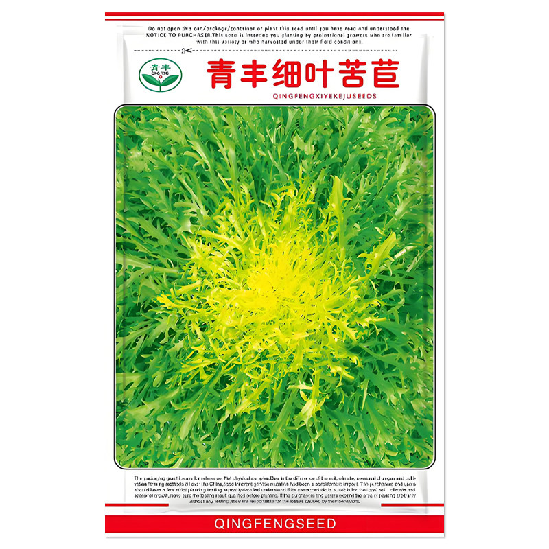 细叶苦苣菜种子黄心苦菊