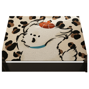 入户门地垫pvc可擦洗门口进门防滑丝圈脚垫家用玄关地毯蹭土地点