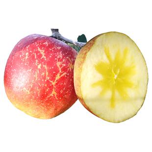 云南昭通丑苹果冰糖心苹果水果脆甜10斤新鲜红露富士整箱包邮