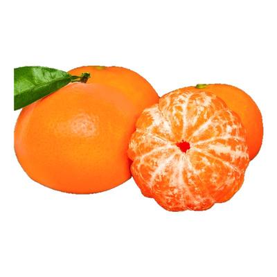 【天猫好物推荐】广西武鸣沃柑