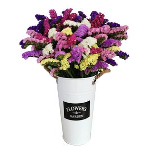 云南鲜花勿忘我干花花束满天星插花客厅摆设真花装饰摆件风干天然