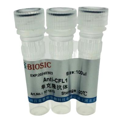 Anti-CFL1 Monoclonal antibody 实验用单克隆抗体 百克赛斯生物