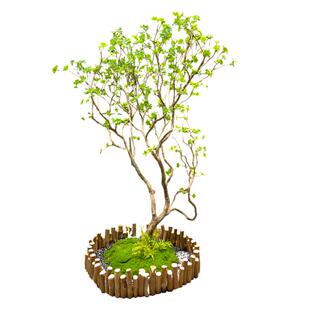 仿真马醉木造景 入户玄关楼梯下装饰 仿生绿植免维护室内景观假树