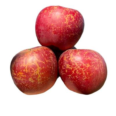 云南昭通丑苹果脆甜产地直发