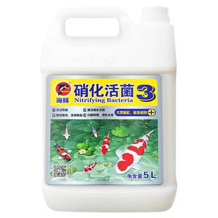 鱼缸净水剂水质稳定剂硝化益菌净水剂除氯免浑水净化观赏鱼非鱼药