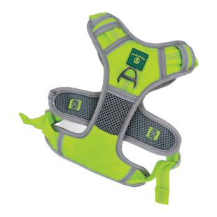 BuddyRider宠物自行车座椅狗狗小型犬狗外出牵引夜光胸背神器