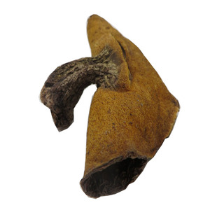 2025新货优选粘团子天津蓟县特产东北野生秋板松蘑菇干货500g松丁