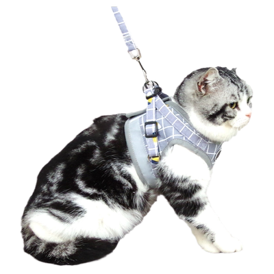 蓬牧猫咪牵引绳舒适透气