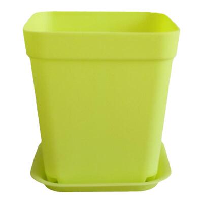 多彩小方花盆塑料花苗假植育苗