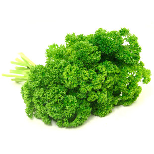 欧芹法国香芹种子芹菜种籽苗西芹四季秧苗蔬菜法香孑苗子根苗秧