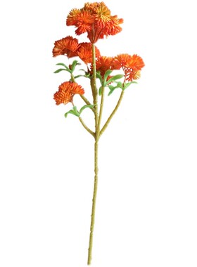 仿真花多肉植物森系婚庆装饰摆件