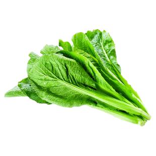 潮汕春菜种子小白菜青菜种籽香芥菜四季菜种盆栽籽种蔬菜孑菜籽甜