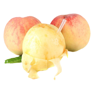 早熟水蜜桃树苗嫁接黄桃树当年结果南方北方种植树苗桃树果苗