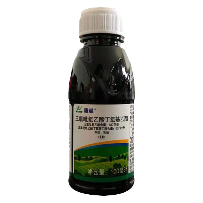 屠灌三氯吡氧乙酸除杂灌构树灭葛藤蔓络石藤专用阔叶除草烂根剂