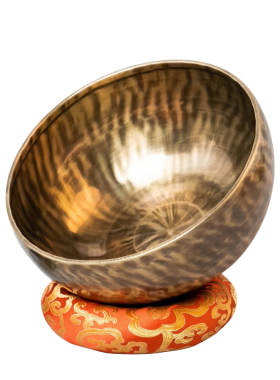 新手快速入门一钵多音高性价比