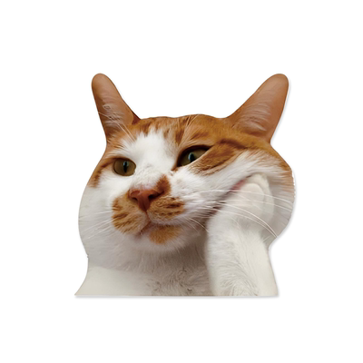 新款meme猫咪搞笑个性文字车贴表情包创意磁吸装饰贴防水玻璃贴画