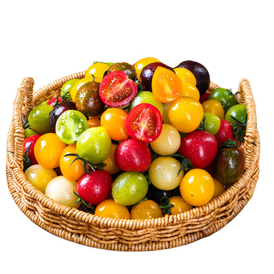 【顺丰包邮】新鲜七彩小番茄