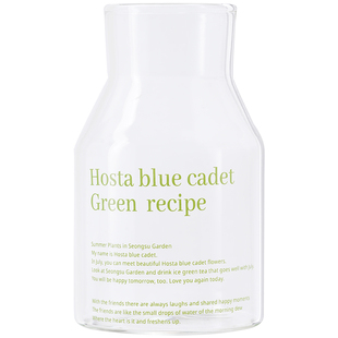 肆月高硼硅吸管玻璃杯女高颜值家用牛奶果汁咖啡杯透明字母水杯