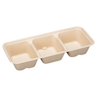 一次性水果包装盒果切打包盒水果切盒3格食品糕点分装果切野餐盒