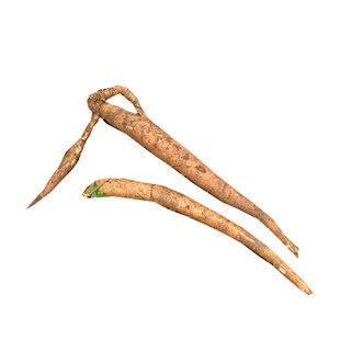 野生新鲜牛大力整条500g农家现挖粉质甜牛大力鲜粉薯金钟根山莲藕