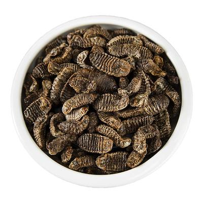 中药材蛴螬土蚕老母核桃虫无硫