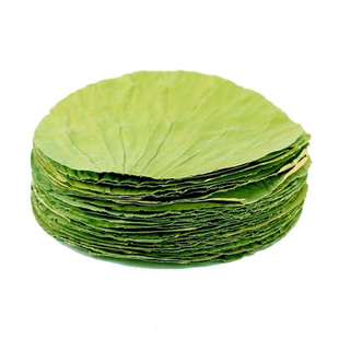 干荷叶整张18种尺寸正宗微山湖荷叶叫花鸡饭专用莲叶藕叶批发商用
