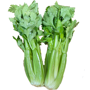 【立农维康】高原水果清芹生吃西芹当季新鲜果蔬鲜嫩脆双十一狂欢