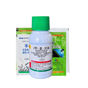 甜象草皇竹草黑麦草巨菌草墨西哥玉米草牧草玉米田专用除草剂小麦