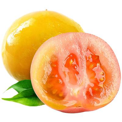 「丹东铁皮柿子畅销榜」top商家