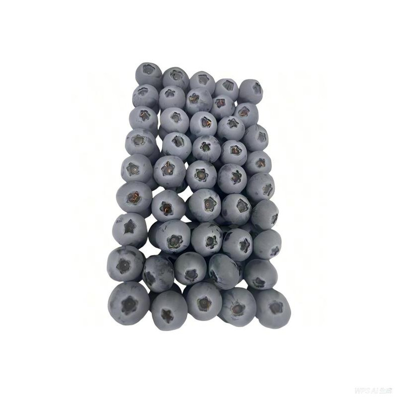 丹东私人农产定制大蓝莓L25批发零售