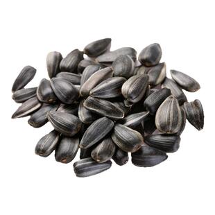 仓鼠瓜子粮食金丝熊吃的磨牙零食营养主粮饲料小仓鼠专用用品大全