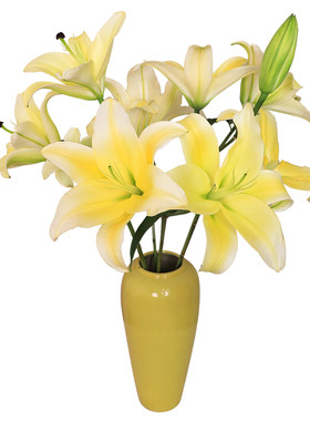 黄天霸香水百合花鲜花云南直发