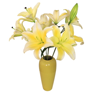 黄天霸香水百合花鲜花云南基地直发家用插花水养鲜切花2单发顺丰