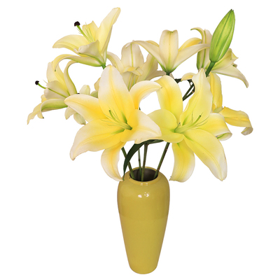 黄天霸香水百合花鲜花云南直发