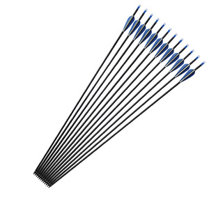 包邮弓箭箭支射击玻纤箭杆反曲弓箭头真羽混纯碳素箭支美复合碳箭