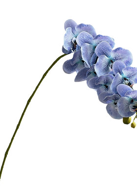 高品质手感保湿蝴蝶兰仿真花