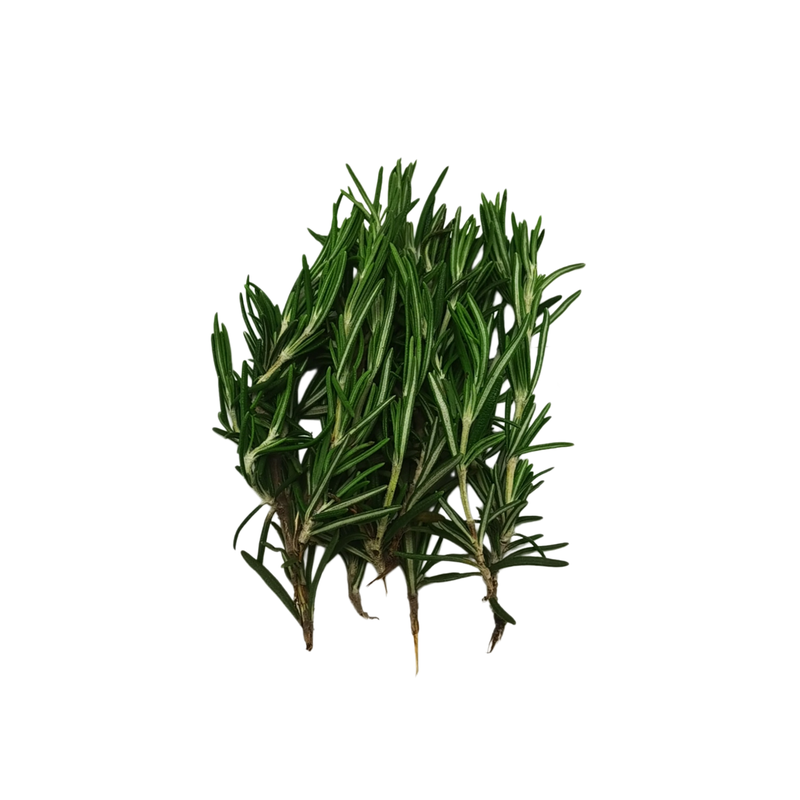 迷迭香纯露烘茶西餐精油