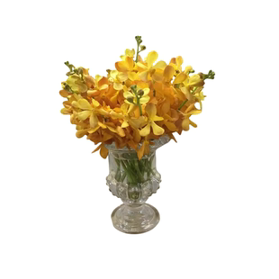 泰国洋兰石斛兰鲜切花上海鲜花速递家用瓶插花艺江浙沪皖两扎包邮