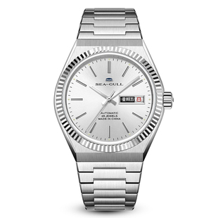 海鸥表男表经典精钢钻商务复古腕表双日历男士手表自动机械表1075