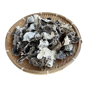 野生灵芝 新货精选云芝  野生云芝 千层蘑灵芝片 革盖菌  云芝