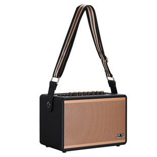 便携式电吉他音响小型手提户外弹唱音箱电吹管专用高音质直播内录