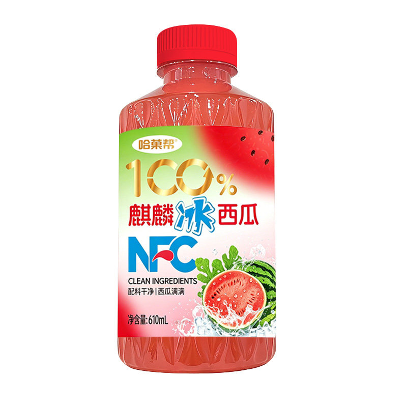 6瓶装冰西瓜汁饮品清爽解渴