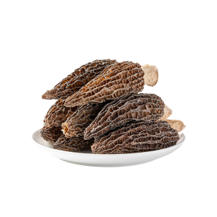 云南特产羊肚菌干货菌菇礼盒新鲜蘑菇煲汤野菌汤生包非特级牛肚菌