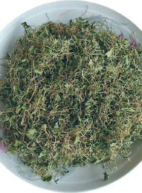 溶石排石效果好真野生小叶金钱草